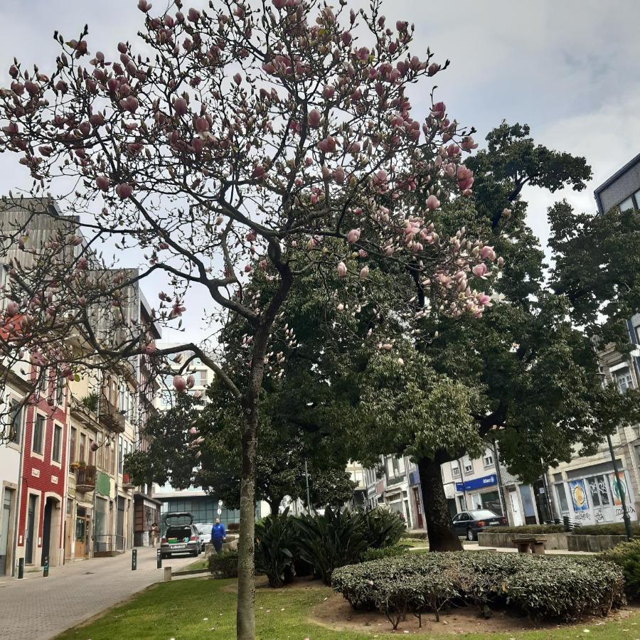 Otf- Porto Centro Apartment ภายนอก รูปภาพ